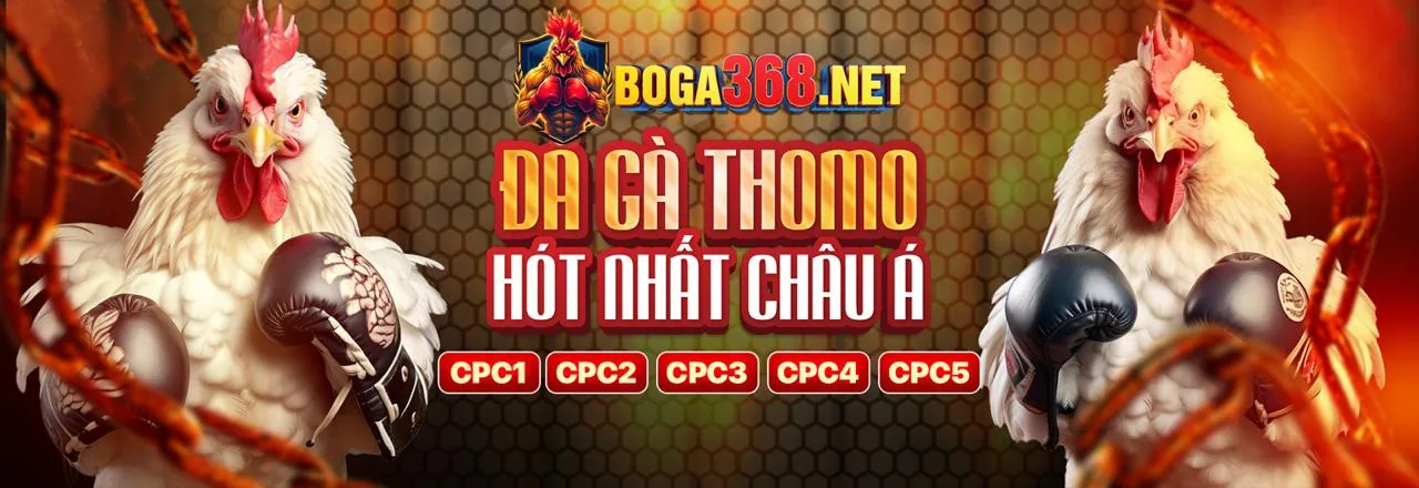 Người chơi đang xem xét các công cụ cờ bạc có trách nhiệm trên nền tảng 08win link vào